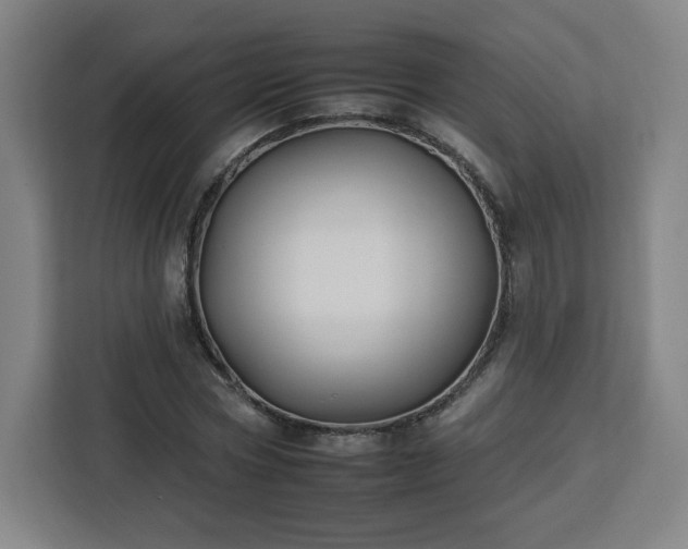 X0000112930778200908311317