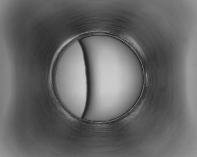 X0000112930780200908311317