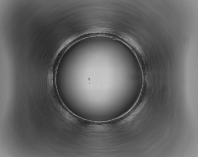 X0000112930781200908311317