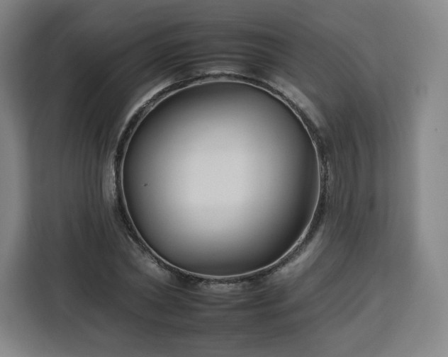 X0000112930782200908311316