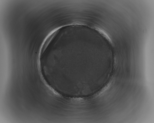 X0000112930784200908311316