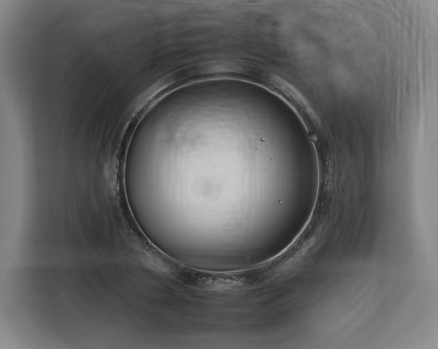 X0000112930786200908311316