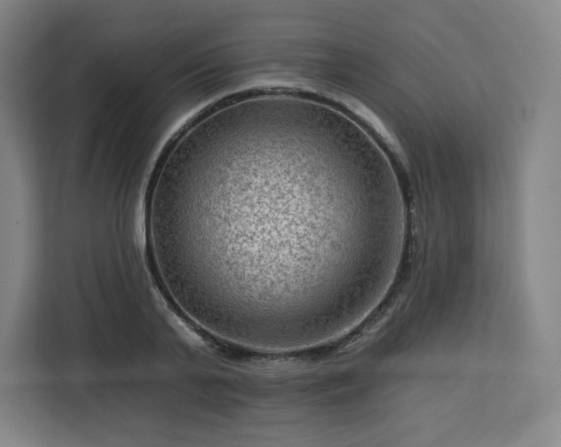 X0000112930791200908311316