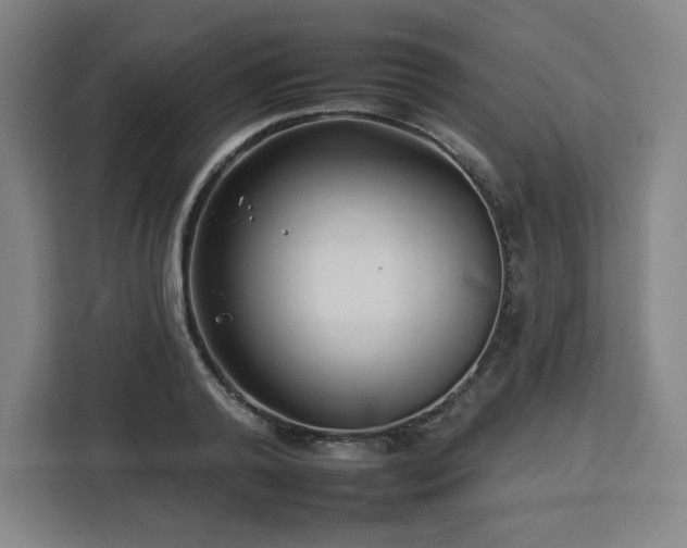 X0000112930792200908311316