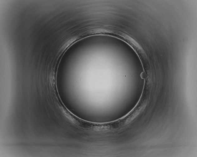 X0000112930793200908311316