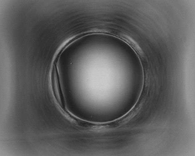 X0000112930796200908311316