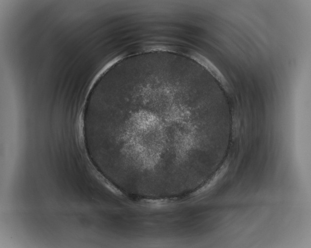 X0000112930798200908311316