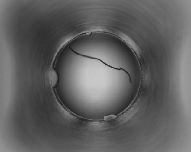 X0000112930805200908311316