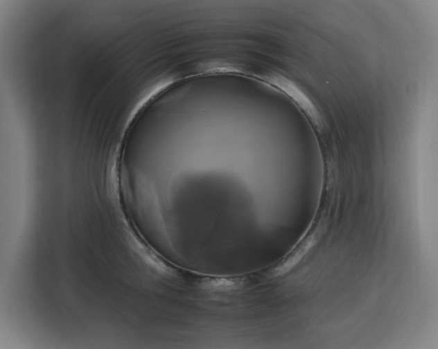 X0000112930806200908311316