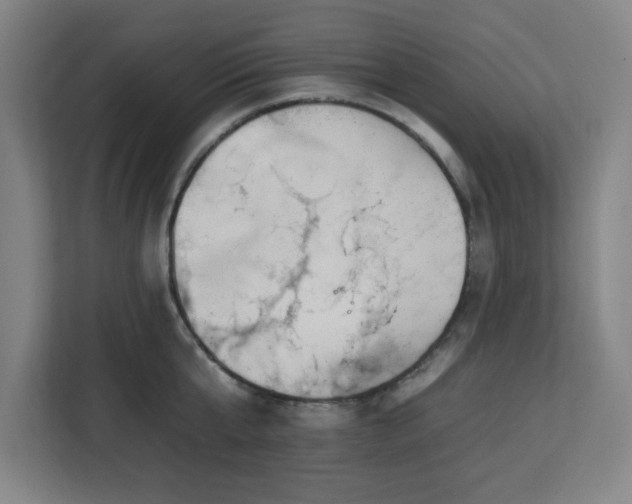 X0000112930807200908311316