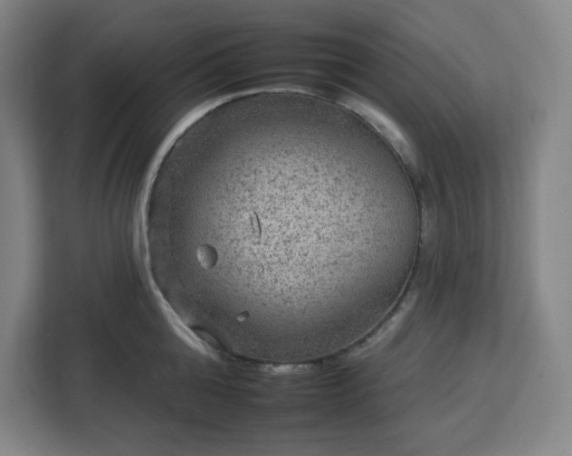 X0000112930808200908311316