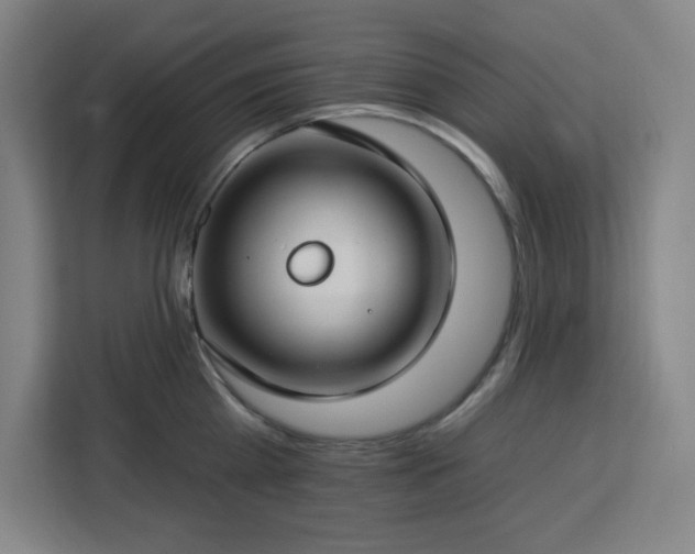 X0000112930809200908311316