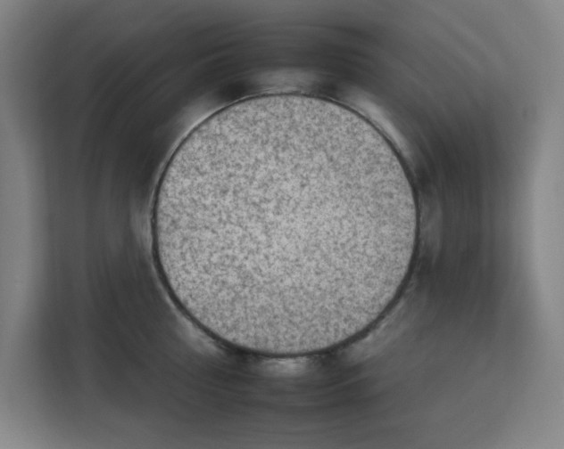 X0000112930810200908311316