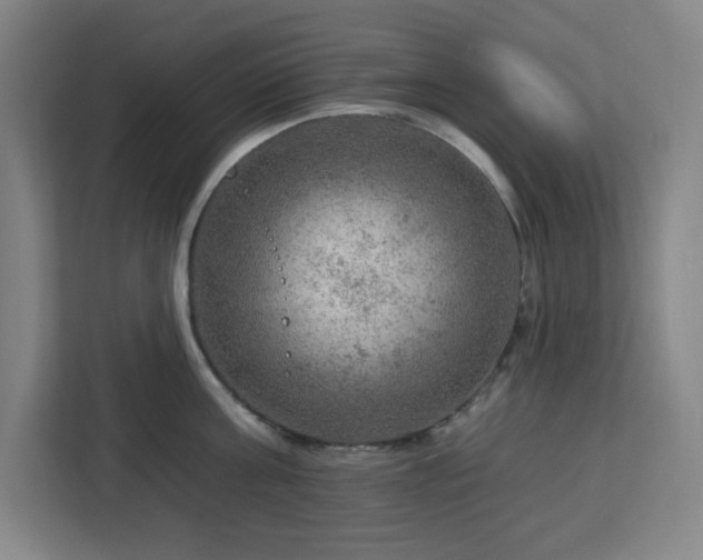 X0000112930811200908311316