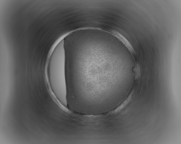 X0000112930812200908311316