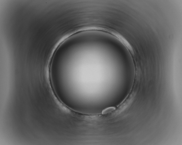 X0000112930813200908311316