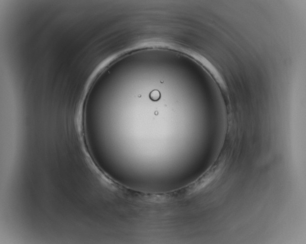 X0000112930815200908311316