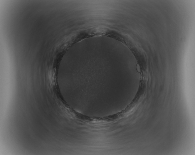 X0000112930818200908311315