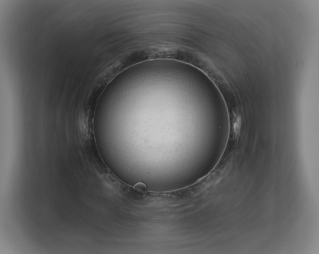 X0000112930819200908311315