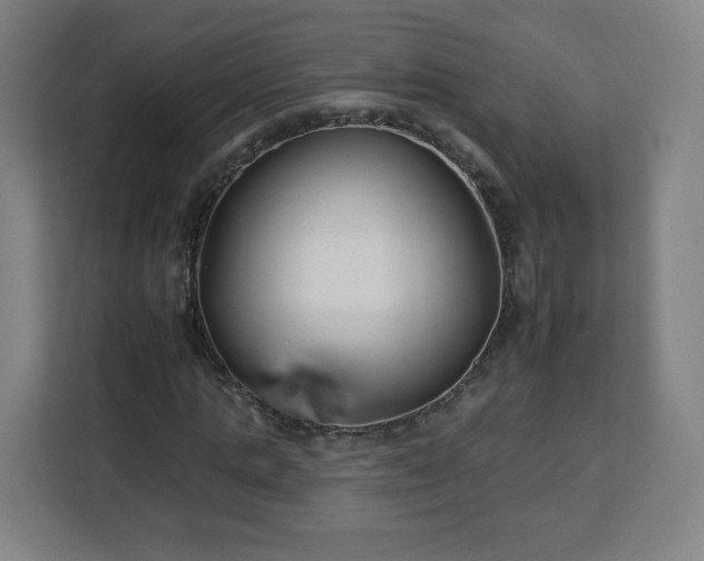 X0000112930821200908311315