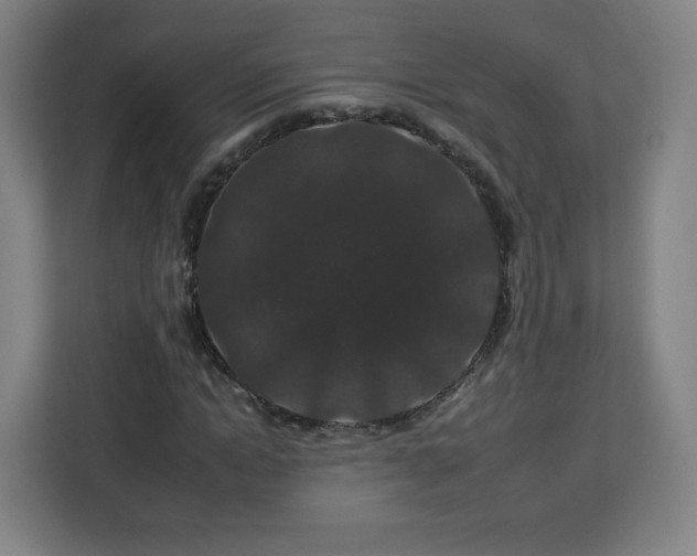 X0000112930822200908311315