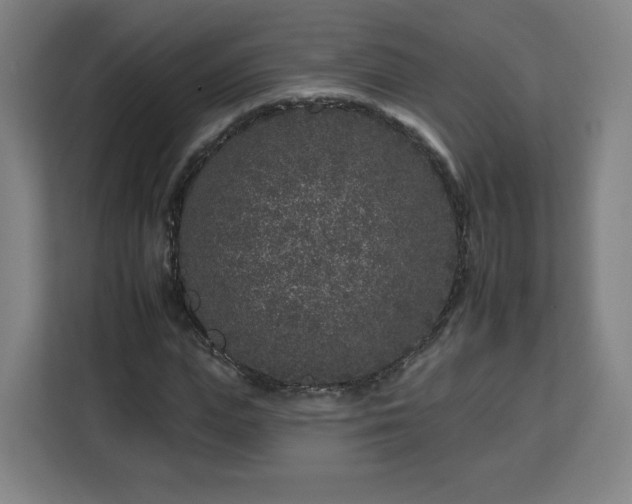 X0000112930823200908311315