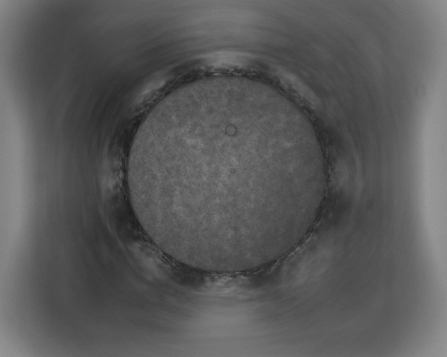 X0000112930824200908311316