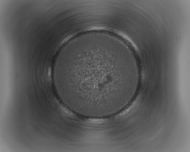 X0000112930825200908311316