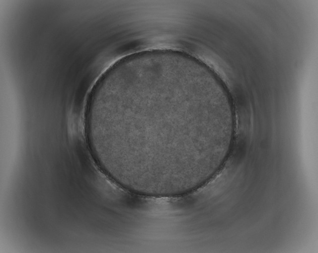 X0000112930828200908311316