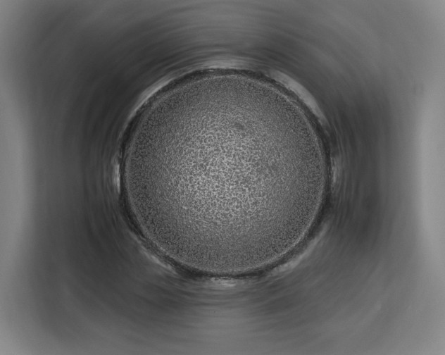 X0000112930829200908311316