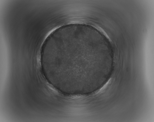 X0000112930830200908311316