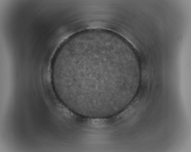 X0000112930832200908311316