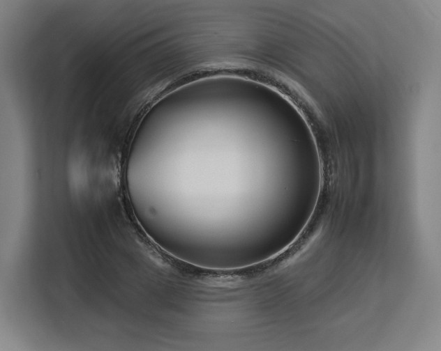 X0000112930833200908311316