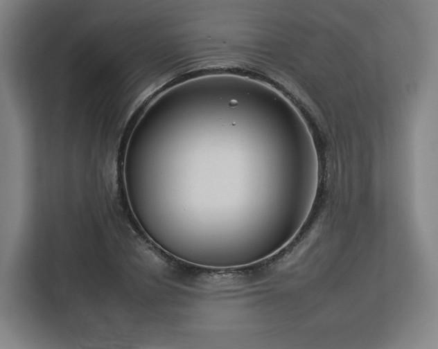 X0000112930834200908311316