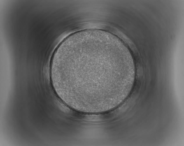 X0000112930836200908311316