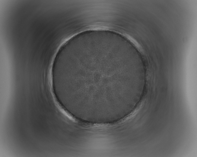 X0000112930840200908311316