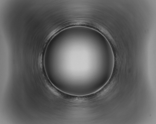 X0000112930842200908311316