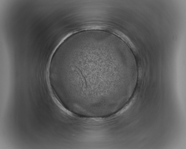 X0000112930844200908311316