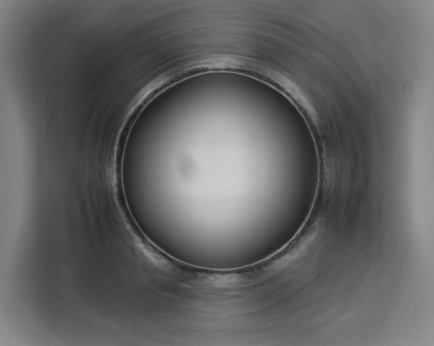 X0000112930845200908311316