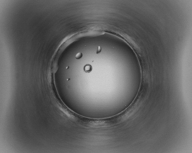 X0000112930846200908311316