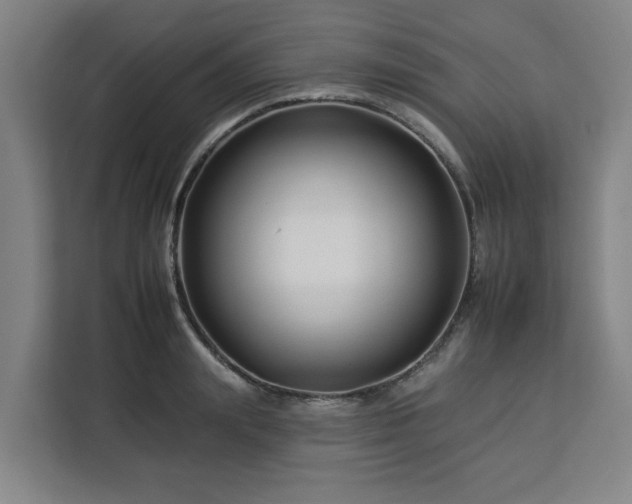 X0000112930847200908311316