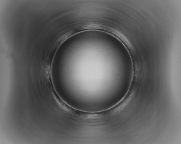 X0000112930849200908311316