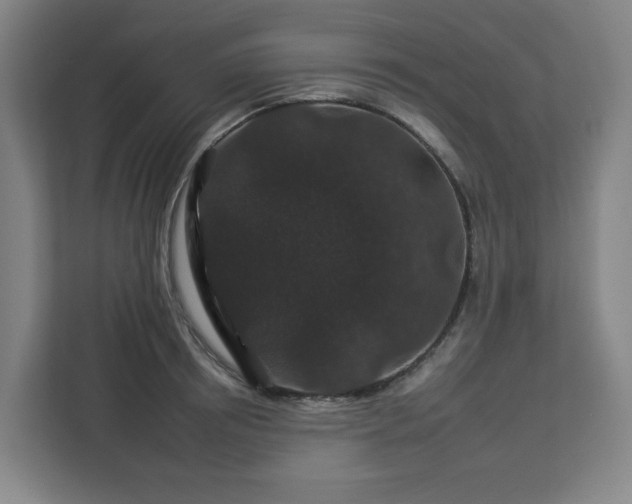 X0000112930850200908311316