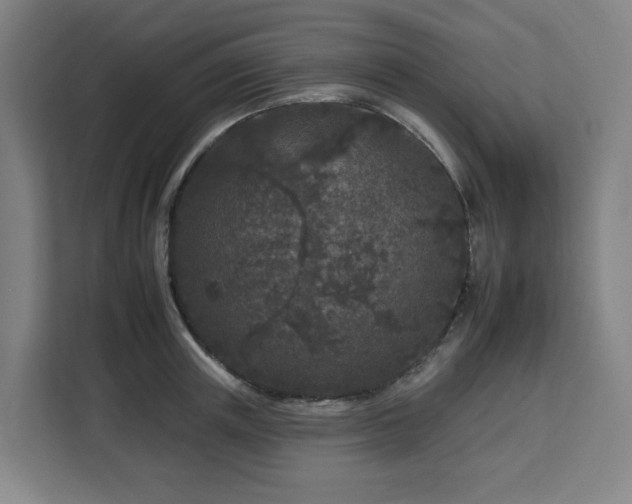 X0000112930851200908311316