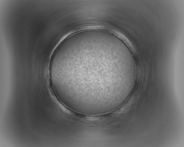 X0000112930852200908311316