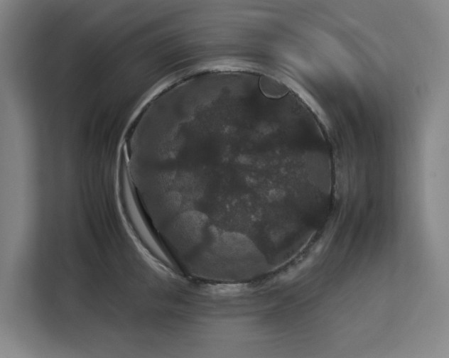 X0000112930853200908311316