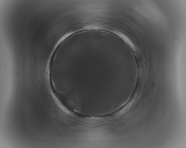 X0000112930854200908311316