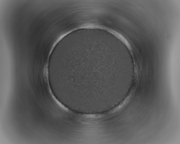 X0000112930855200908311316