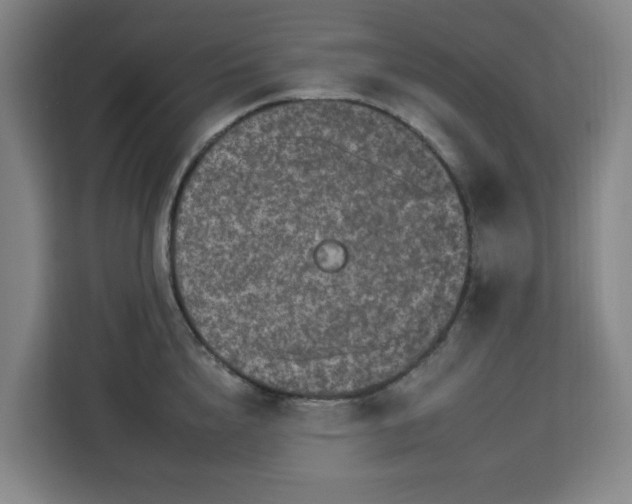 X0000112930856200908311316