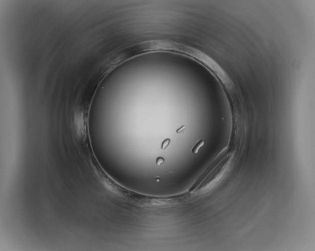 X0000112930857200908311316